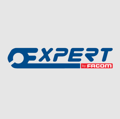 Expert by Facom Inbussleutel T met Heft, Torx | T30 - E121706