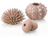 biOrb zee-egel set naturel - Oase