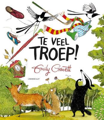 Te veel troep (Hardback)