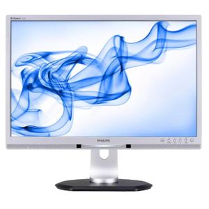 Philips 225PL2ES - 22 inch - 1680x1050 - VGA - DVI - Grijs