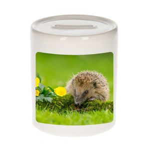 Foto egel spaarpot 9 cm - Cadeau egels liefhebber