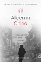 Alleen in China - Zogenaamd David - ebook