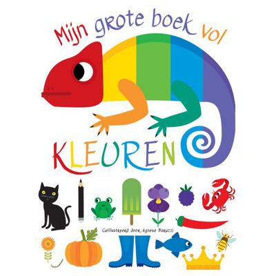Mijn grote boek vol kleuren