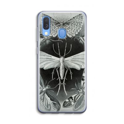 Haeckel Tineida: Samsung Galaxy A40 Transparant Hoesje