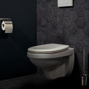 Toiletborstel Haceka Ixi 38x10 cm RVS