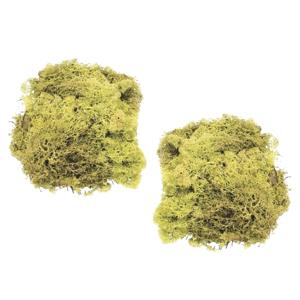 Decoratie nep mos - 2x - lichtgroen - 50 gram - Hobby/knutselen - herfst/kerst thema decoreren