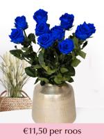 Blauwe long life rozen - Kies je aantal van 5 t/m 20