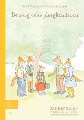 De zorg voor pleegkinderen (Paperback)