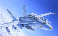 Italeri 1/72 F/A 18 Wild Weasel C/D - thumbnail