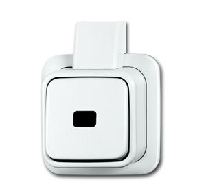 Pulsdrukker opbouw wit enkelpolig 2621 APJW BJ