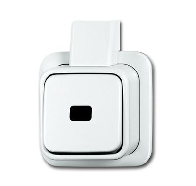 Pulsdrukker opbouw wit enkelpolig 2621 APJW BJ