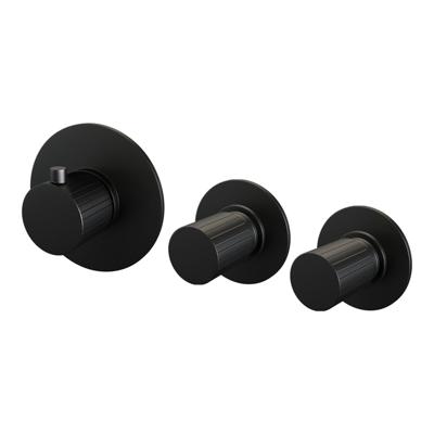 BRAUER Stripe Inbouwthermostaat - 2 stopkranen - in- en afbouwdelen - mat zwart 5-S-350
