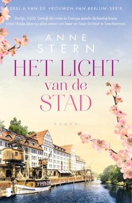 Het licht van de stad - Anne Stern, - ebook