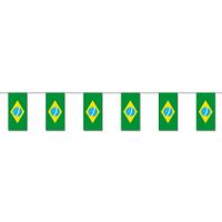 Braziliaanse feestvlaggetjes 4 meter