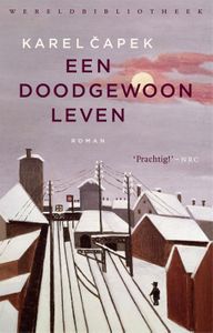 Een doodgewoon leven - Karel Capek - ebook