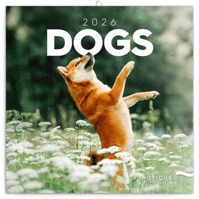 Honden Kalender 2026
