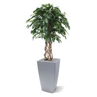 Ficus Exotica bol kunstplant op stam 125cm