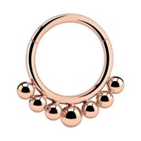 Hinged Segment Ring Met roségoud verguld chirurgisch staal Piercingringen