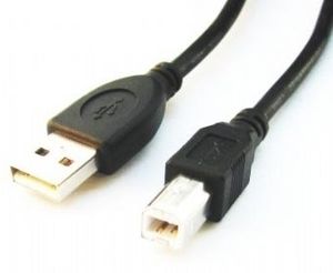 Gembird CCP-USB2-AMBM-6 USB-kabel USB-A naar USB-B 1,8m zwart