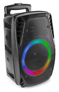 Fenton FT8LED-MK2 accu speaker met Bluetooth - 300W