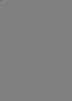 Staatsraison (Paperback)