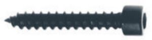 Visaton VS-5082 Screws (cylinder Head) 5 X 30 Mm Pu=24 St