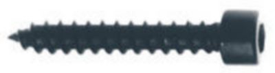 Visaton VS-5082 Screws (cylinder Head) 5 X 30 Mm Pu=24 St