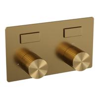 BRAUER Stripe 2-weg Inbouwthermostaat - drukknoppen - in- en afbouwdelen - goud geborsteld PVD 5-GG-355