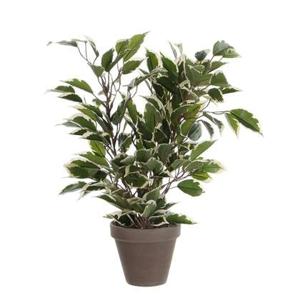 Mica Decorations Ficus Natasja Kunstplant - H40 cm - Groen Bont