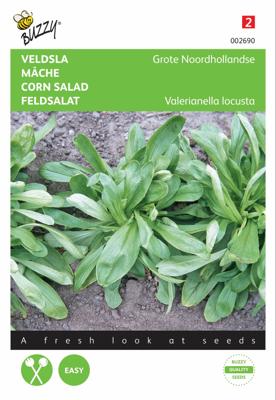 Veldsla Grote Noordhollandse - Buzzy