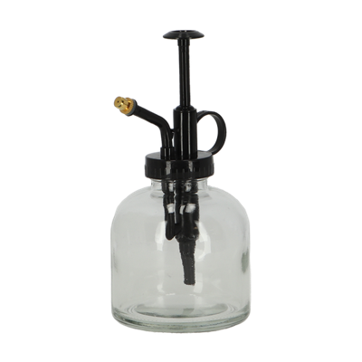 Plant mister transparent - Glass