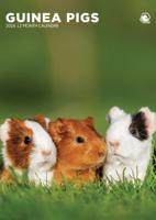 Cavia A3 Kalender 2026