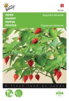 Peper Biquinho Amarela - Buzzy