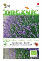 Organic Lavendel (Skal 14275) - Buzzy