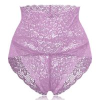 High Waisted Lace Tummy Shaping Panty - thumbnail