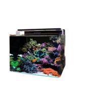 Bm reef 120 aquarium Blue Marine Aquadistri - Aquadistri