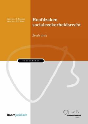 Hoofdzaken socialezekerheidsrecht (Hardback)
