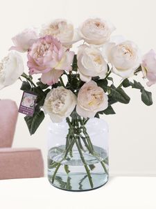 10 roze David Austin rozen - Keira