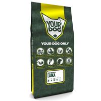 YOURDOG OOST-SIBERISCHE LAIKA PUP