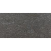 Floorgres Walks 1.0 728758 Vloertegel 300X600 Black 10mm Mat Ret.R11