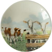 Wiebe&apos;s Farm Petit Four koe geit 6st