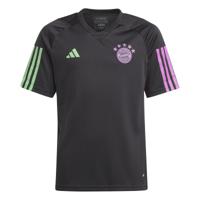 adidas Bayern München Trainingsshirt 2023-2024 Kids Zwart Groen Paars - thumbnail