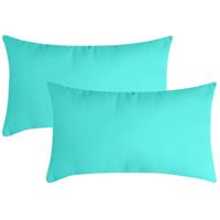 Stof Textile sierkussen Nelson - 2x - aqua blauw - 30 x 50 cm - bank kussens - polyester