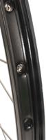 Shimano Achterwiel 28" / 622 x 19C met Nexus 7 naaf voor rollerbrake zwarte velg met RVS spaken