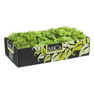 Hobby natuurlijk mos groen 500 gram