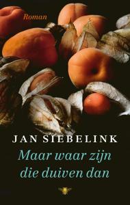 Maar waar zijn die duiven dan (Hardback)