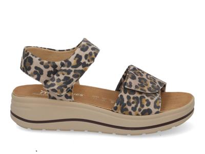 Hartjes Woogie 132.2002 leo multi bruin maat 39