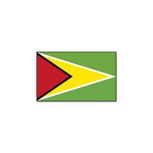 Vlag Guyana 90 x 150 feestartikelen