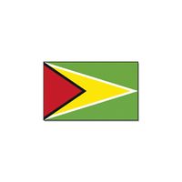 Vlag Guyana 90 x 150 feestartikelen