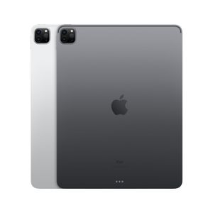 Apple iPad Pro 256 GB 32,8 cm (12.9") Apple M 8 GB Wi-Fi 6 (802.11ax) iPadOS 14 Zilver